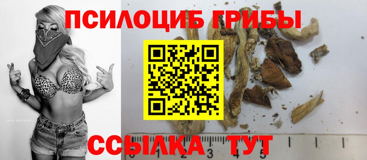 Богданович  Галлюциногенные грибы Cubensis  Вход с VPN 